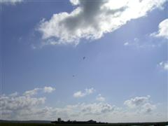 PICT1810.JPG